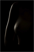 Lily-2