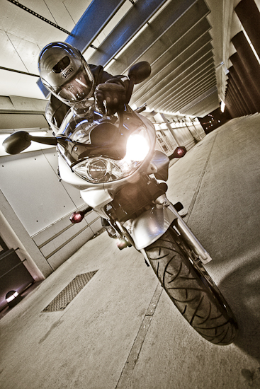 Bandit-3201.jpg