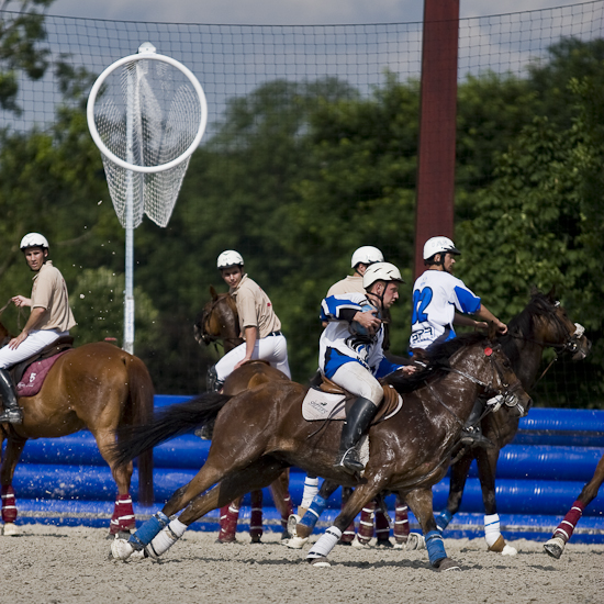 Horseball-3684.jpg