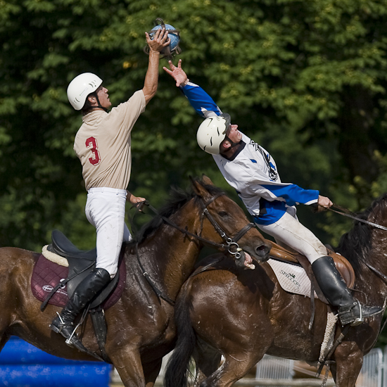 Horseball-3689.jpg