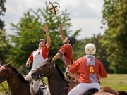 Horseball-2223