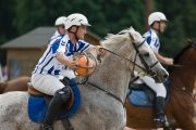 Horseball-2262