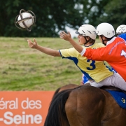 Horseball-2297