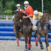 Horseball-2298
