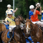 Horseball-2303