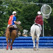 Horseball-2329