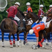 Horseball-2377
