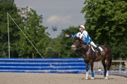 Horseball-3593