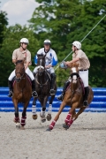 Horseball-3607