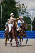 Horseball-3644