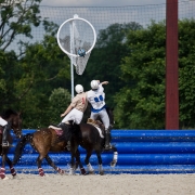 Horseball-3652