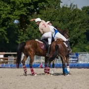 Horseball-3686