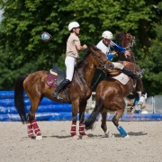 Horseball-3691